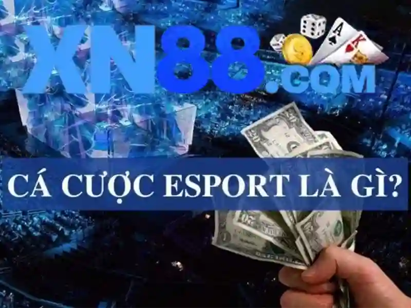 💎đánh bạc bằng hình thức cá độ bóng đá💎