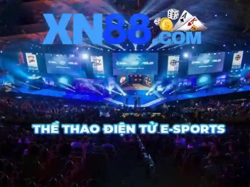 💎cách xem cá cược bóng đá💎