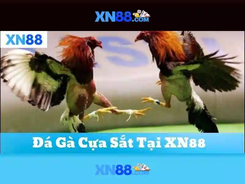 💎sông bình bắc bình bình thuận💎