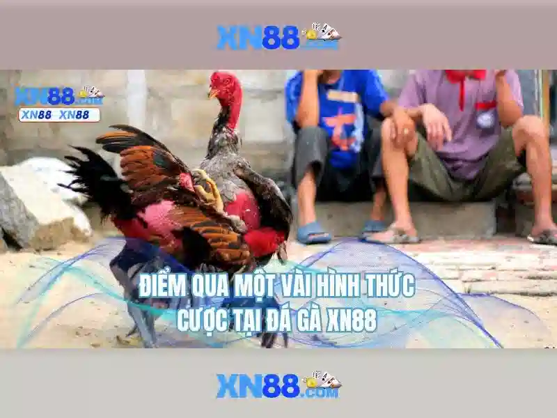 💎cuoc doi cua con ca💎