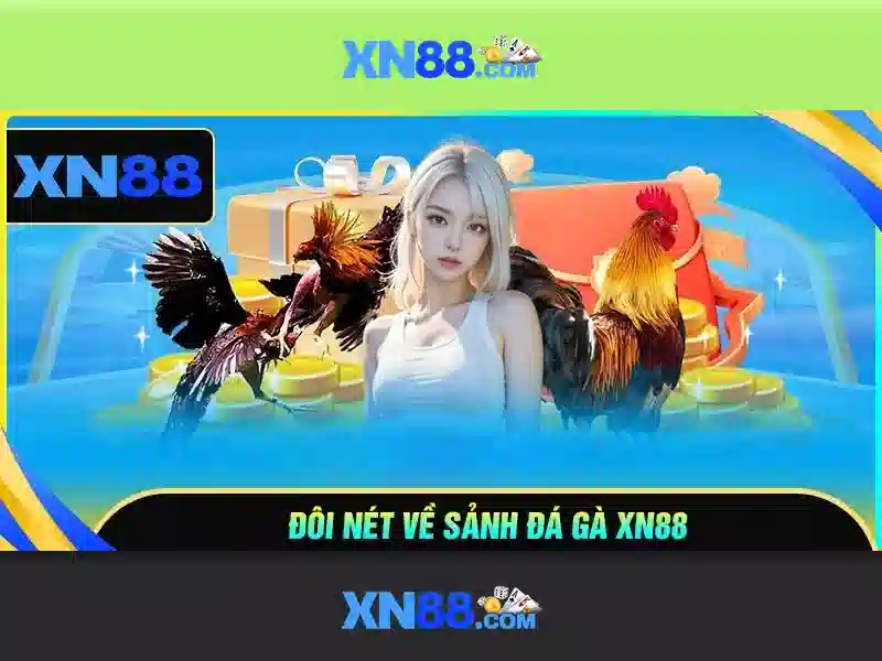 💎nhà thờ giáo xứ cái bè💎