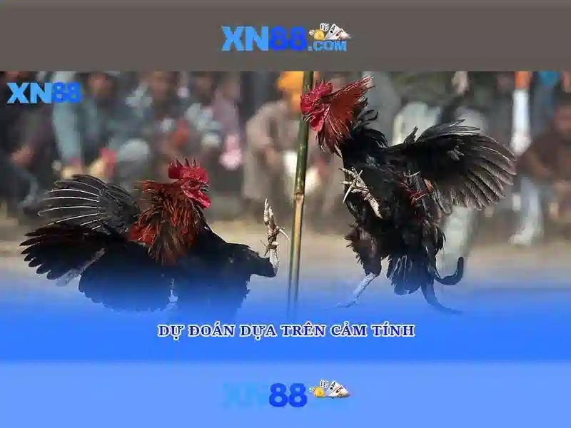 💎how many slot💎