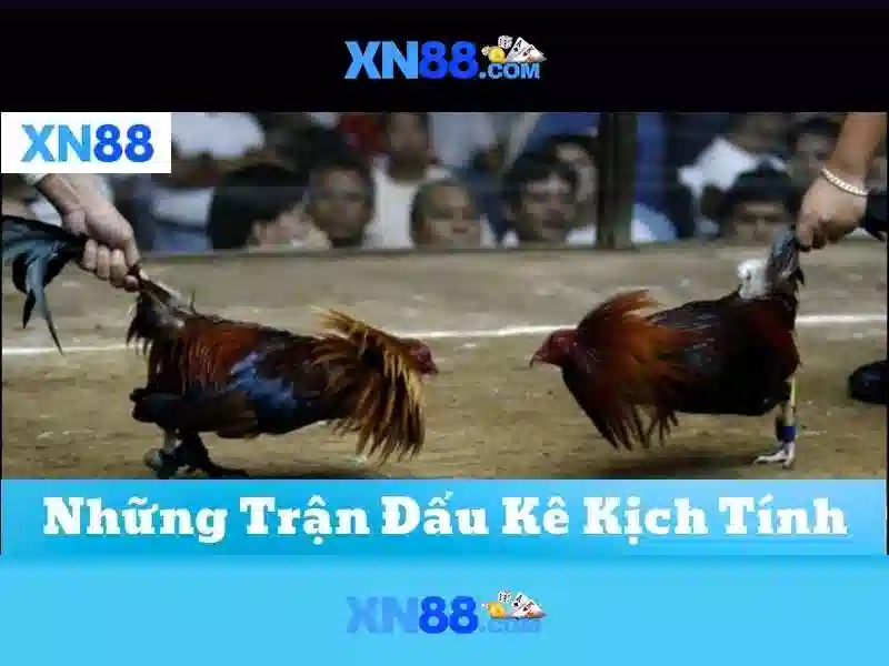 💎nha cai uy tin so1 co💎