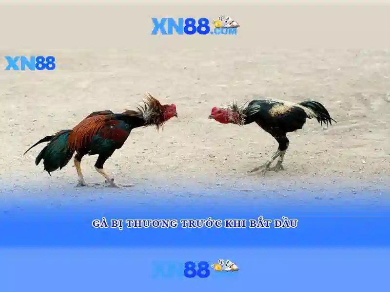 💎clover magic slots app💎