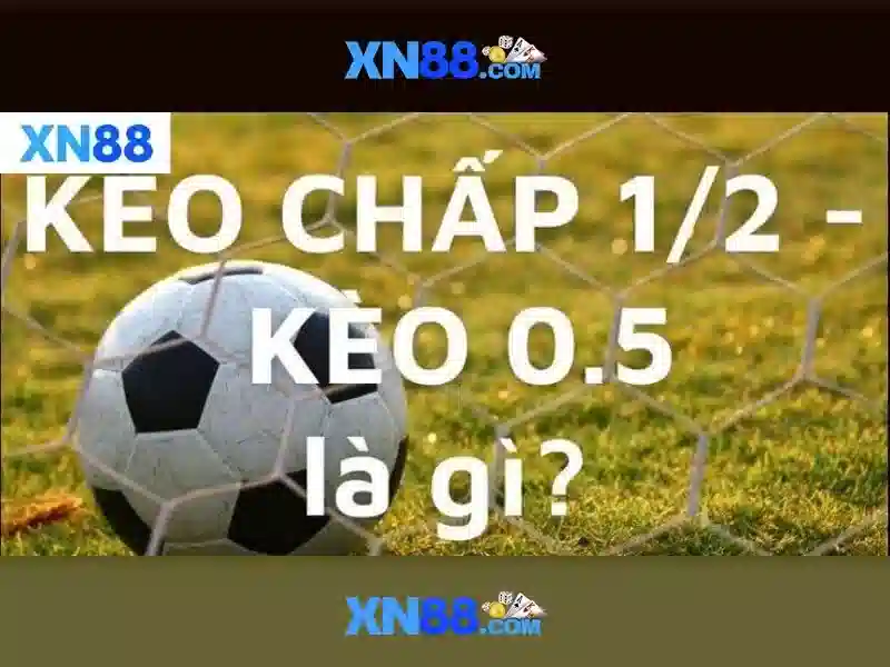 💎nhà cái chấm net💎