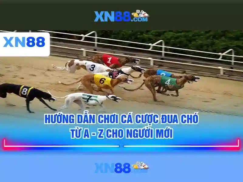 💎sông ngòi ở bắc á đóng băng vào mùa nào💎