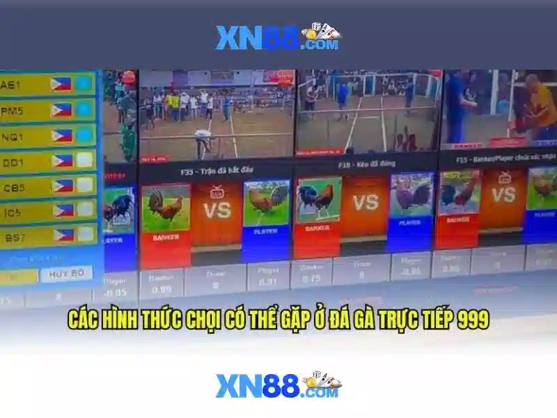 💎cai win tai nha quan 11💎