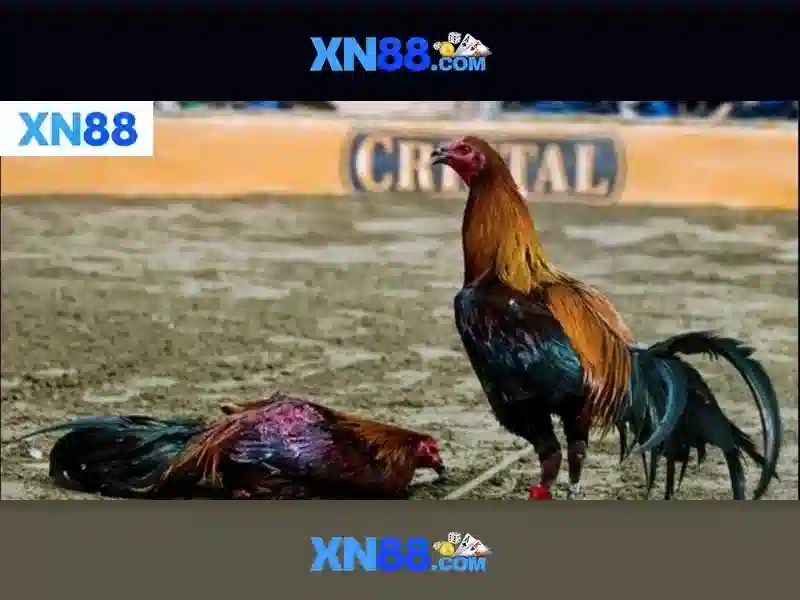 💎fabet live tv💎 - vao fabet - fabet lừa đảo