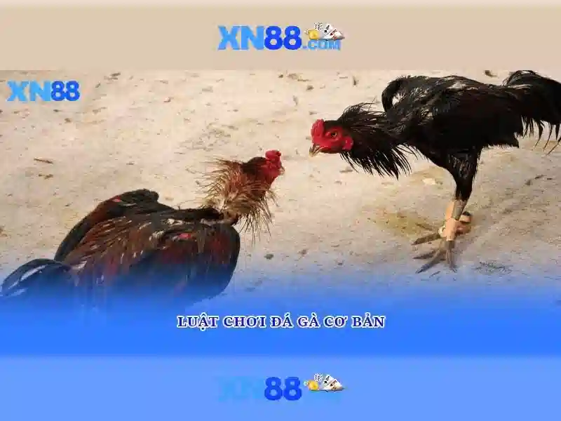 💎online slot machines to win real money💎