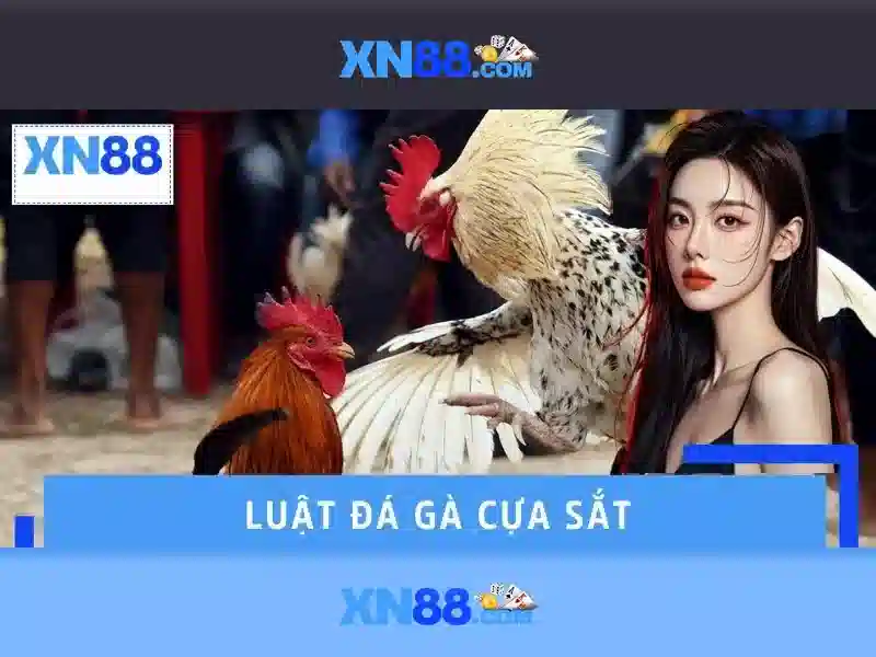 💎tl bd nha cai💎