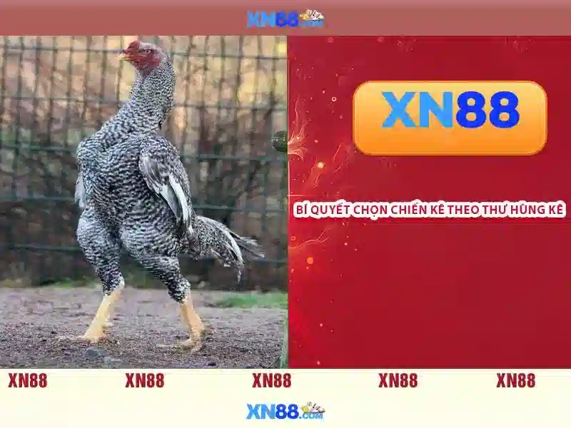 💎sòng bạc hoàng gia phimbathu💎