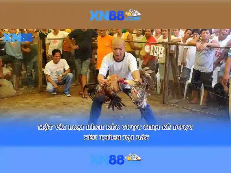 💎v9bet trang chủ v9bet chính thức cá cược💎