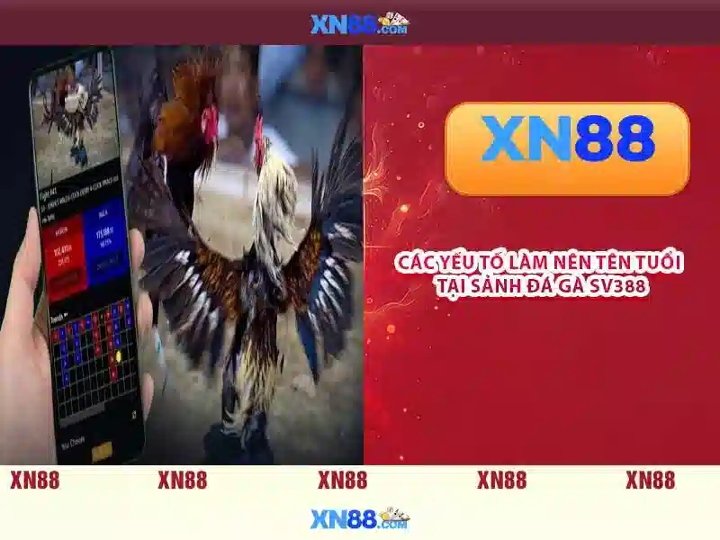 💎vip 888 slot casino💎