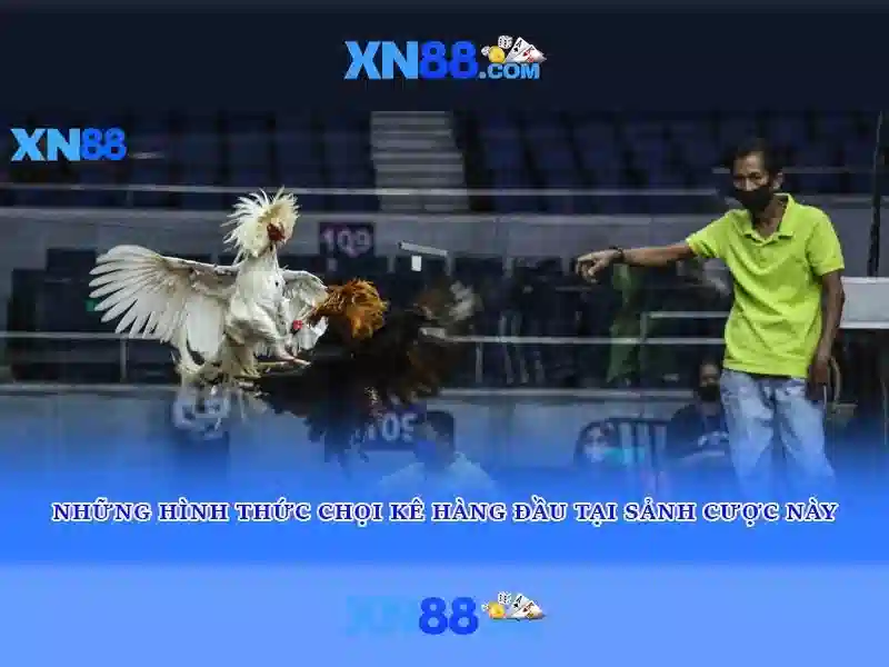 💎nhà cái uy tín kids💎