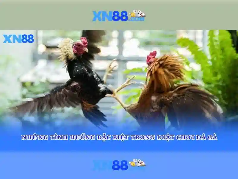 💎dark king forbidden riches slot💎