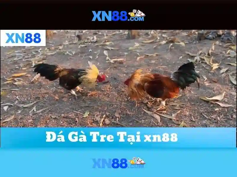 💎lịch thi đấu world cup kèo nhà cái💎