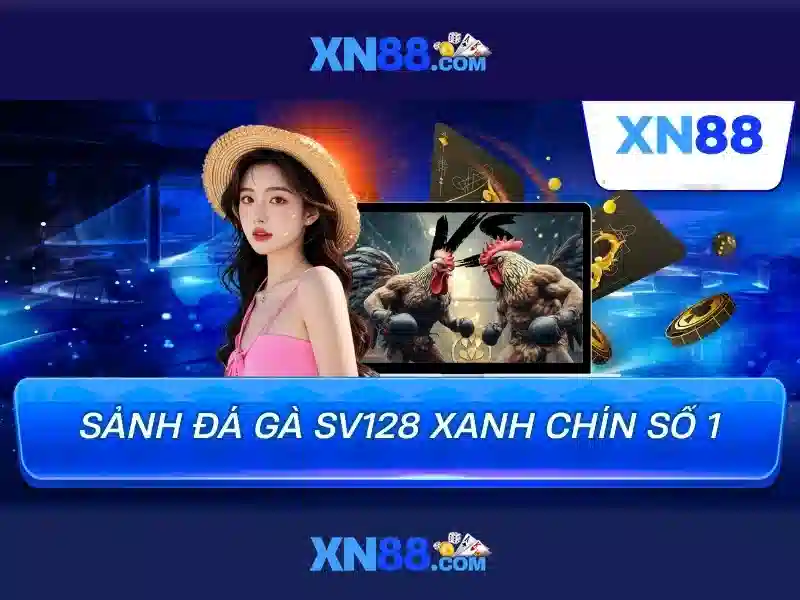 💎trang cá cược bóng đá gaddafifc💎