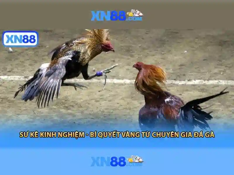 💎nhà cai uy tin 128💎