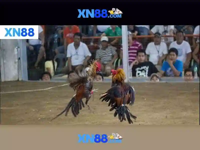 💎slot le bandit💎