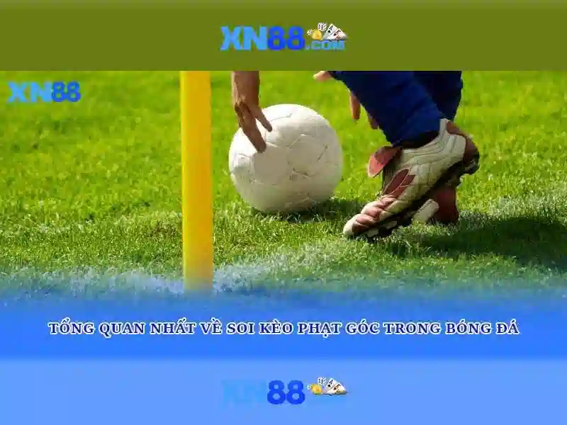 💎cải tạo nhà ống cũ💎