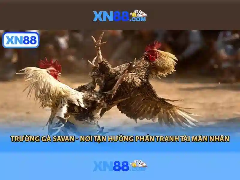 💎nhà cái vn88 45.76.188.185💎