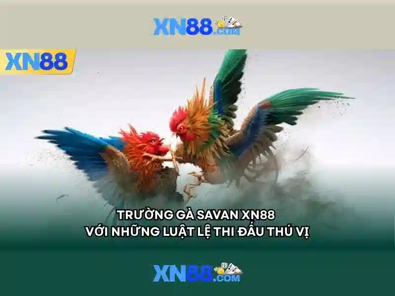 💎nhà cái khuyến mãi cao💎
