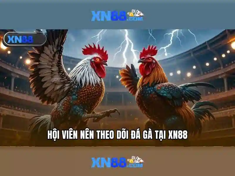 💎33win nha cai uy tin hang đau viet nam💎