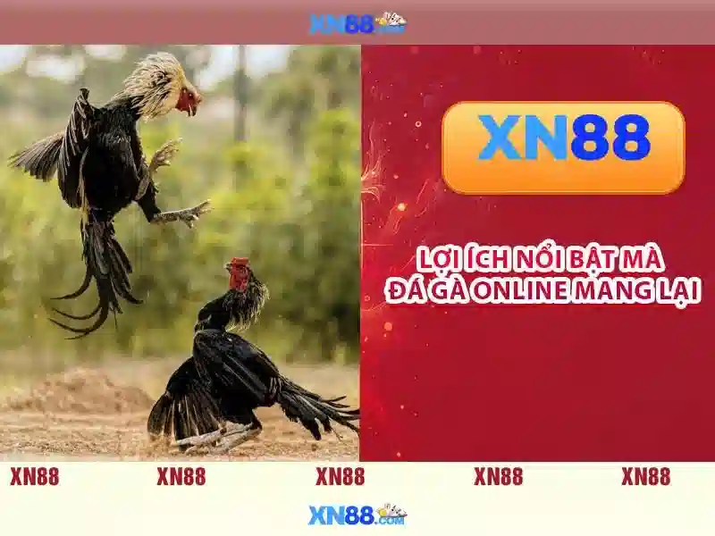  Hướng dẫn chơi Slot - XN88