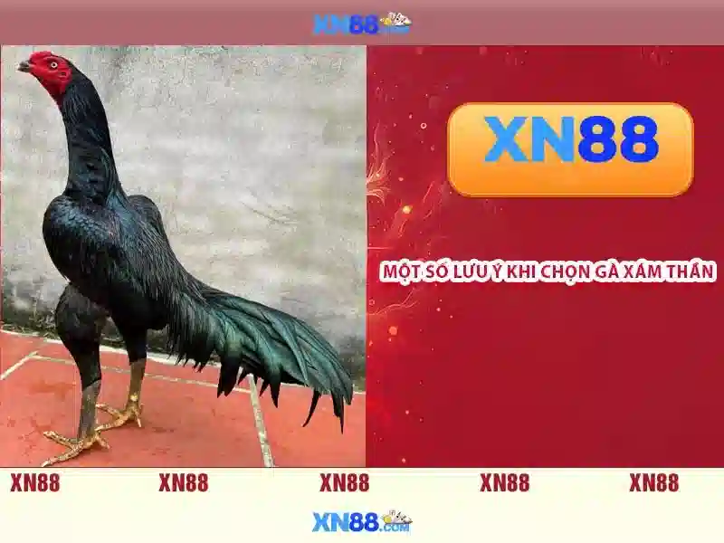 💎nhà cai uy tín 168💎