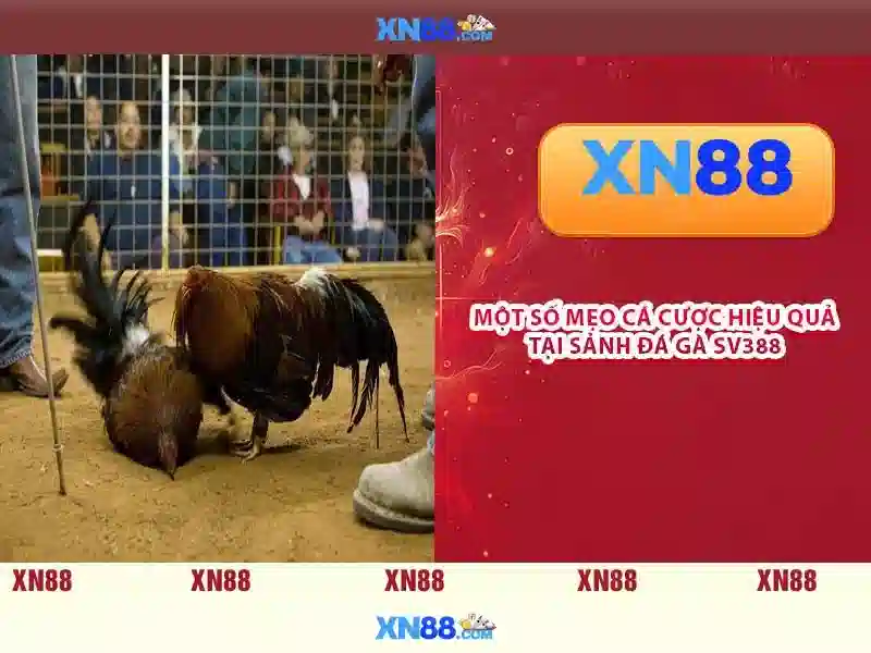 💎bully4u slots💎