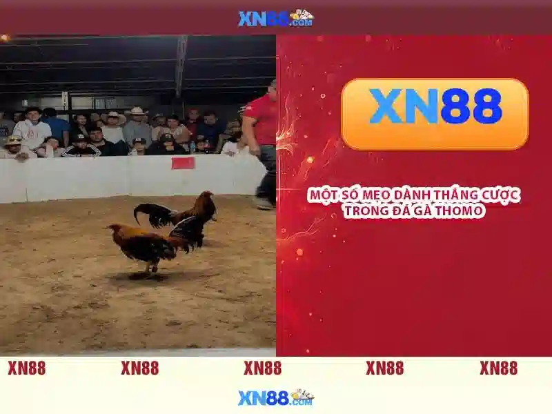 💎chili slots master💎