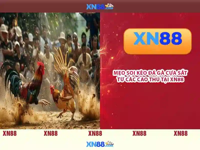 💎cầu treo bắc qua hẻm núi sông dadong💎