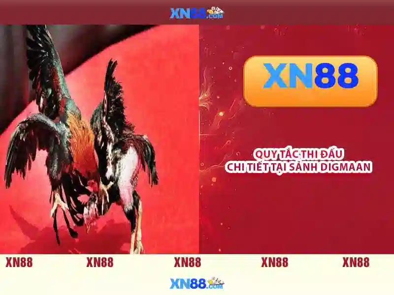  trải nghiệm - XN88