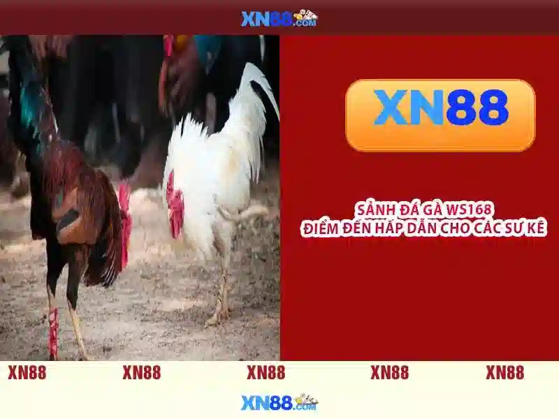 💎nhà cái uy tín 868h💎