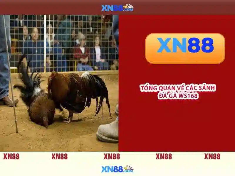 💎tool hack slot💎