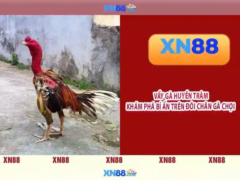 💎kèo fabet💎 - dang nhap fabet - fabet club