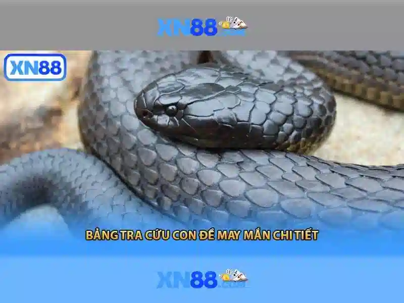 💎cấp bậc danh dự của kfc💎