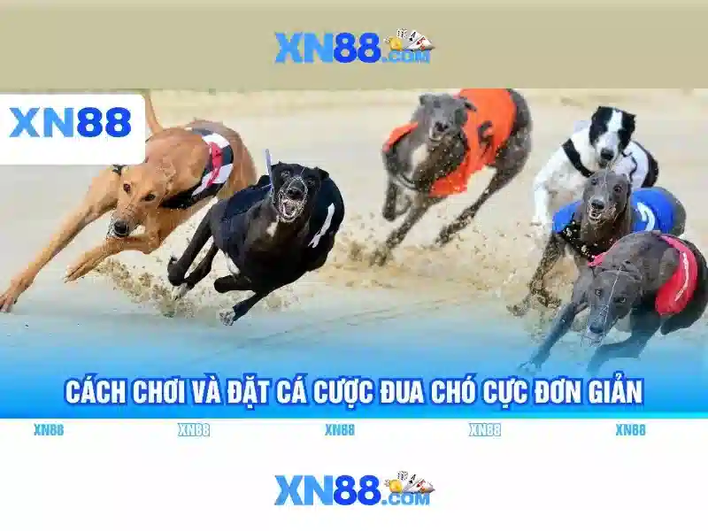 💎hearts and diamonds slots💎