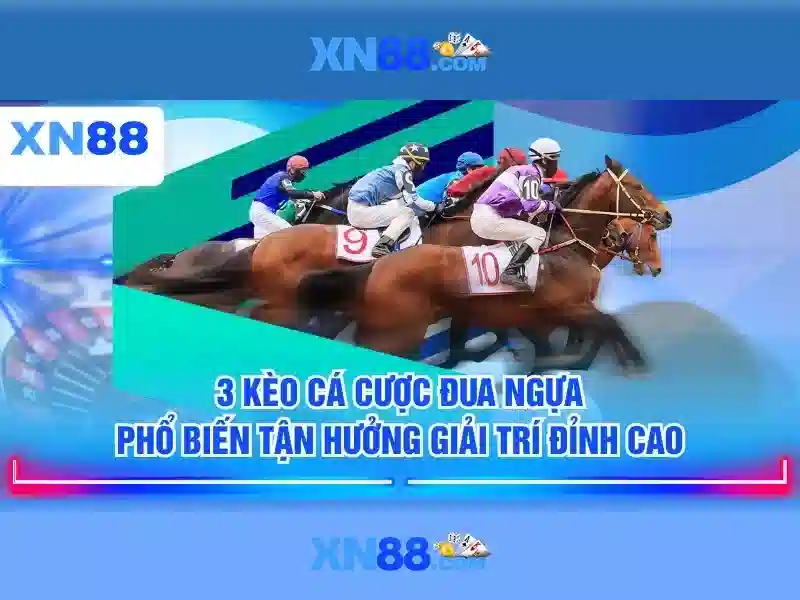  đánh giá XN88 - XN88