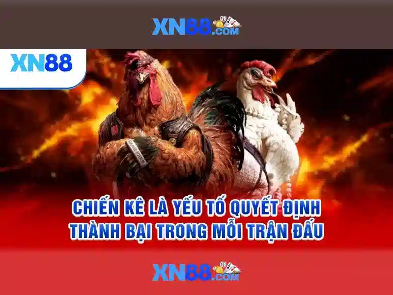 💎sạc dự phòng xn88 có tốt không💎