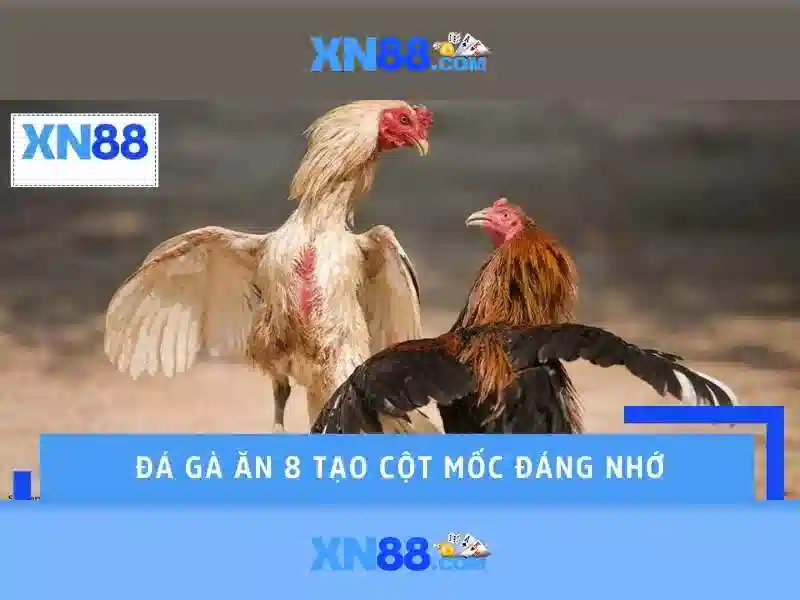 💎cá cược mộc khẩu💎