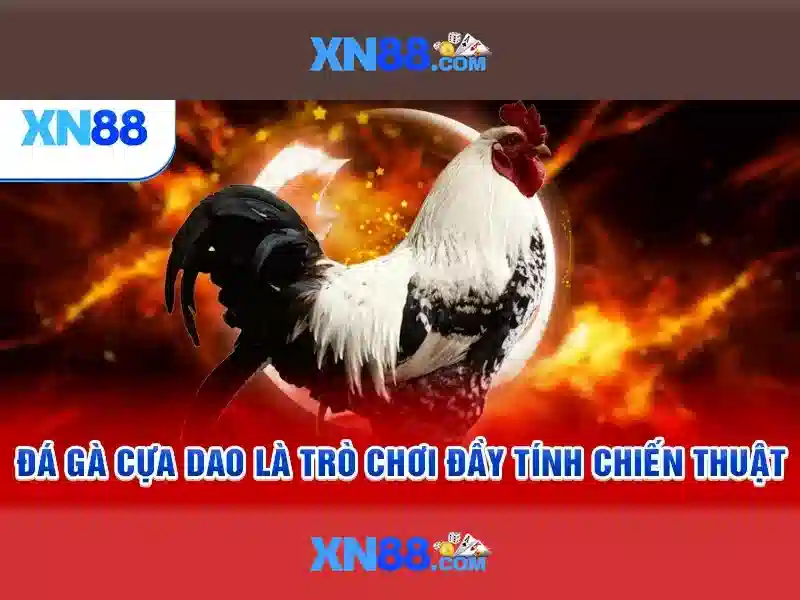 💎ca cuoc sbobet💎