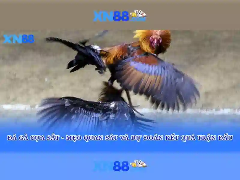 💎wie kann man bei slots gewinnen💎