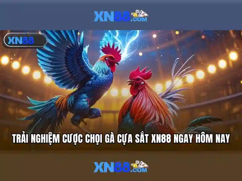 💎kèo nhà cái đêm qua💎