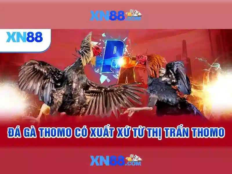 💎xem bóng đá trưc tuyến kèo nhà cái💎