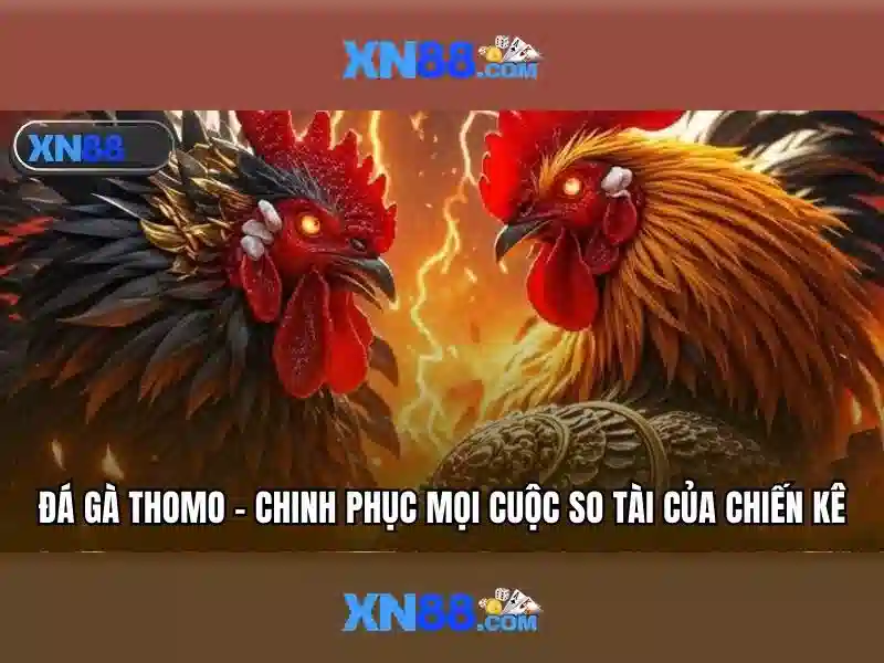 💎kèo nhà cai bio💎