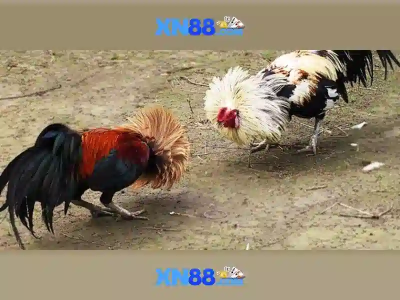 💎kèo nhà cái mexico💎