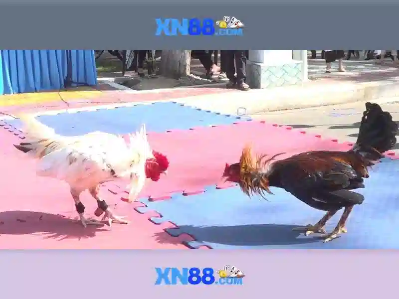 💎kèo nhà cái đức vs nhật bản💎