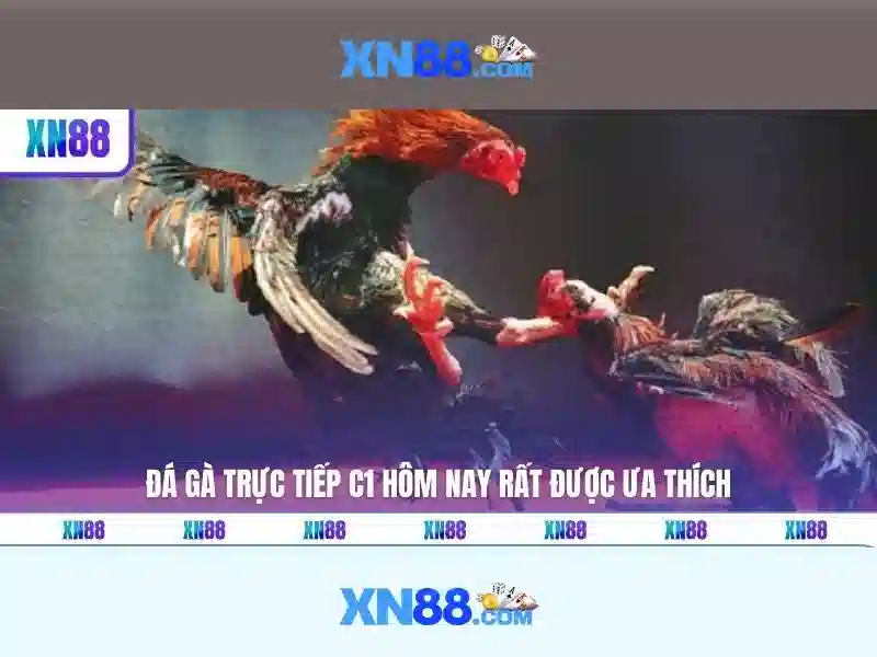 xn88: Đánh giá tổng quan về nền tảng cược trực tuyến an toàn và tin cậy