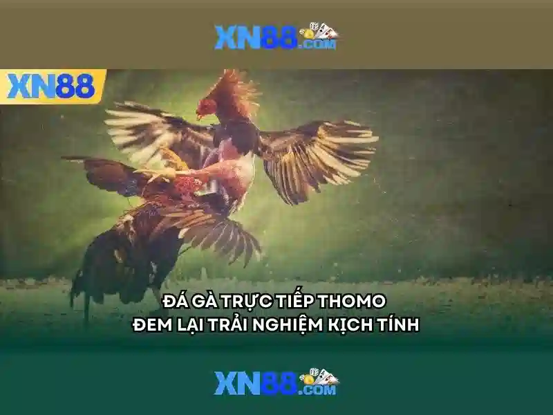 💎188bet trang trủ nhà cái💎